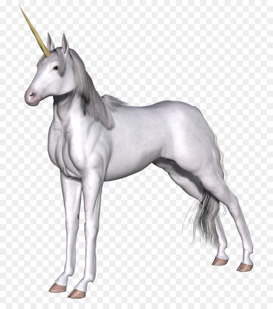 Cheval，Licorne PNG