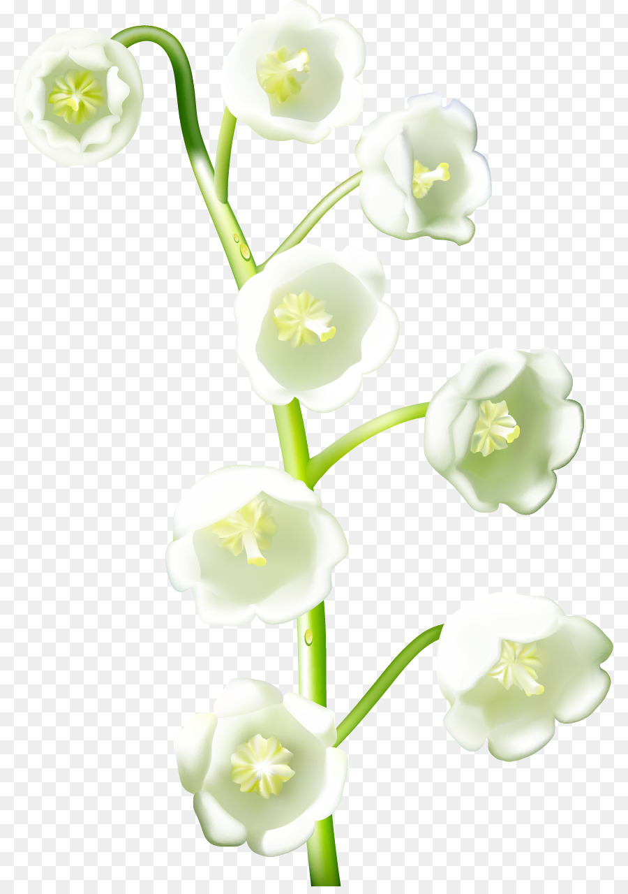 Fleurs Blanches，Tige PNG