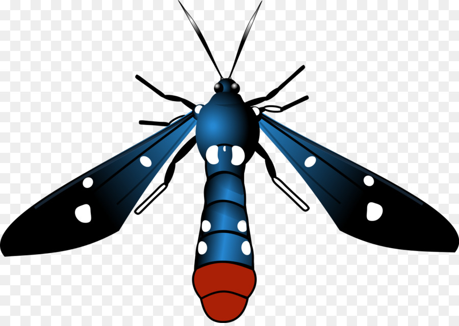 Papillon，Papillon De Nuit PNG