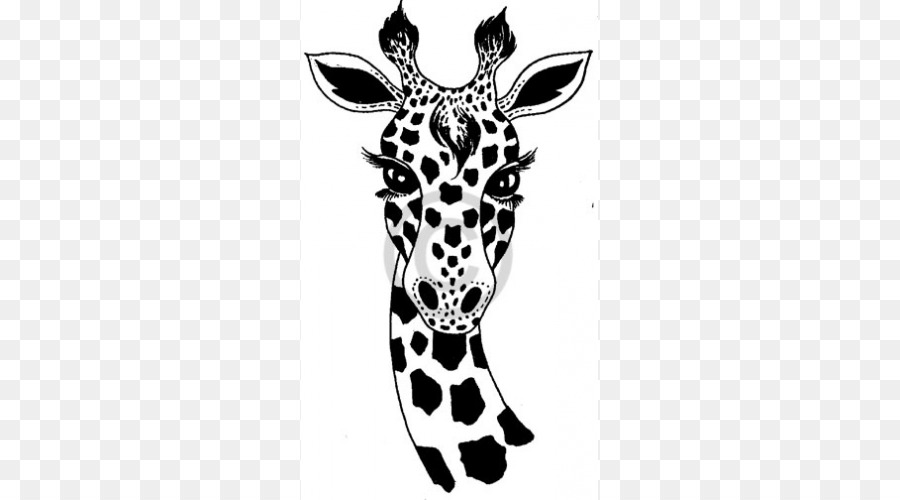 Girafe Dessin Noir Et Blanc Png Girafe Dessin Noir Et Blanc Transparentes Png Gratuit