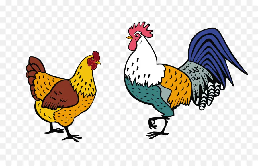 Poulet Et Coq，Poulet PNG