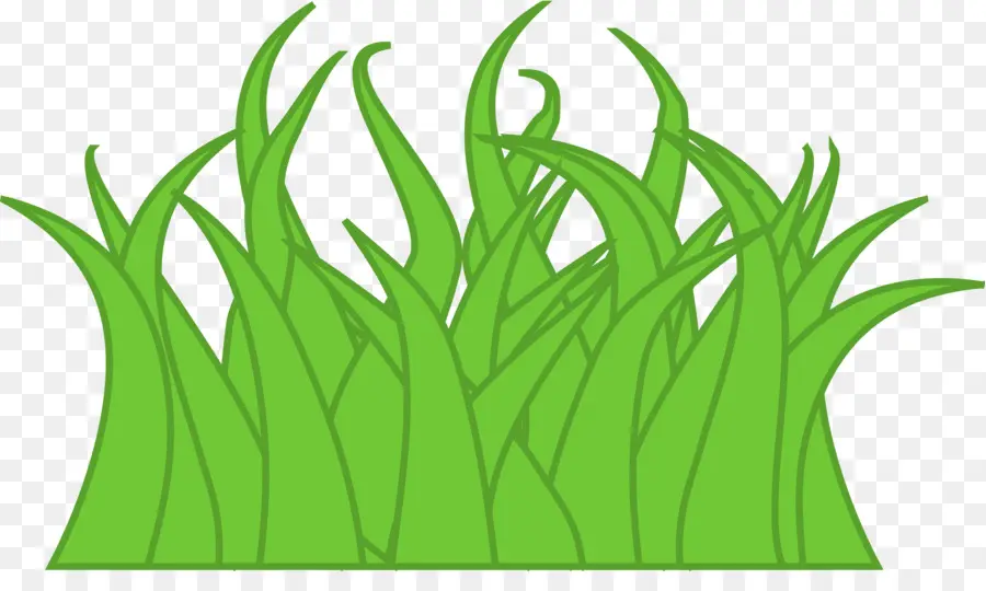 Herbe Verte，Nature PNG