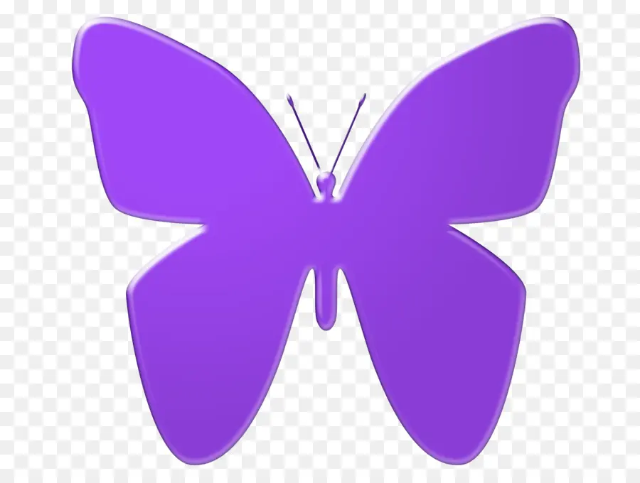 Papillon Violet，Papillon PNG