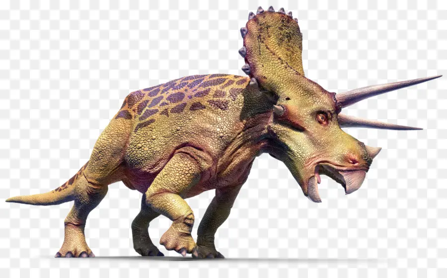 Tricératops，Préhistorique PNG