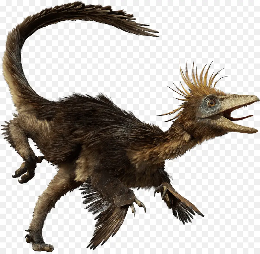 Troodon，Vélociraptor PNG
