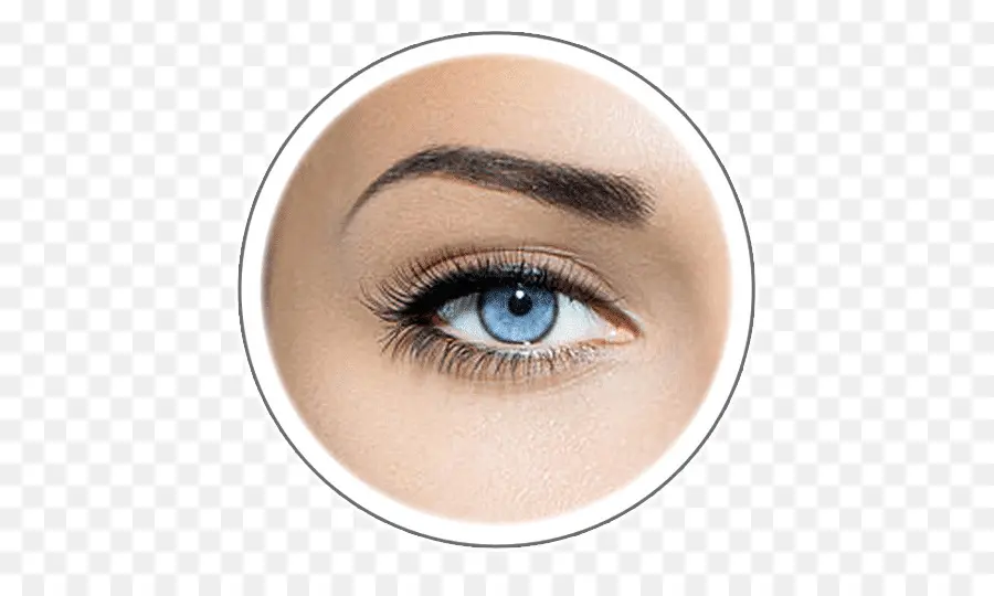 Oeil Bleu，Sourcil PNG