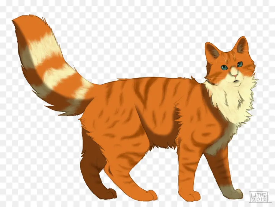 Chat Orange，Félin PNG