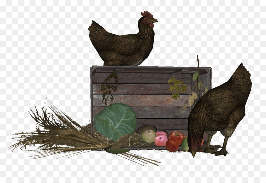 Poulet，Anciens Rouleaux V Skyrim PNG