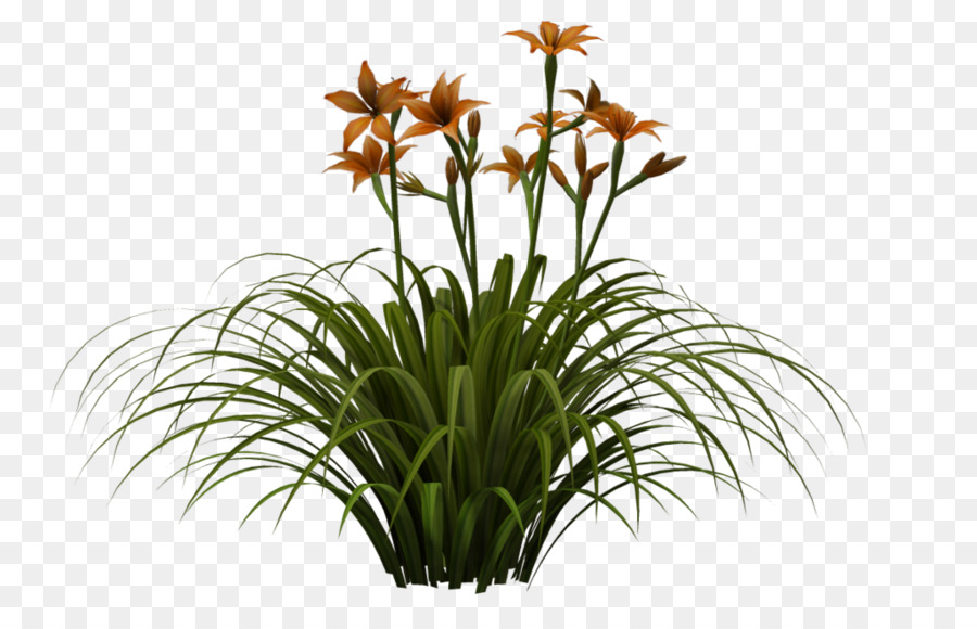 Plante à Fleurs，Fleurs PNG