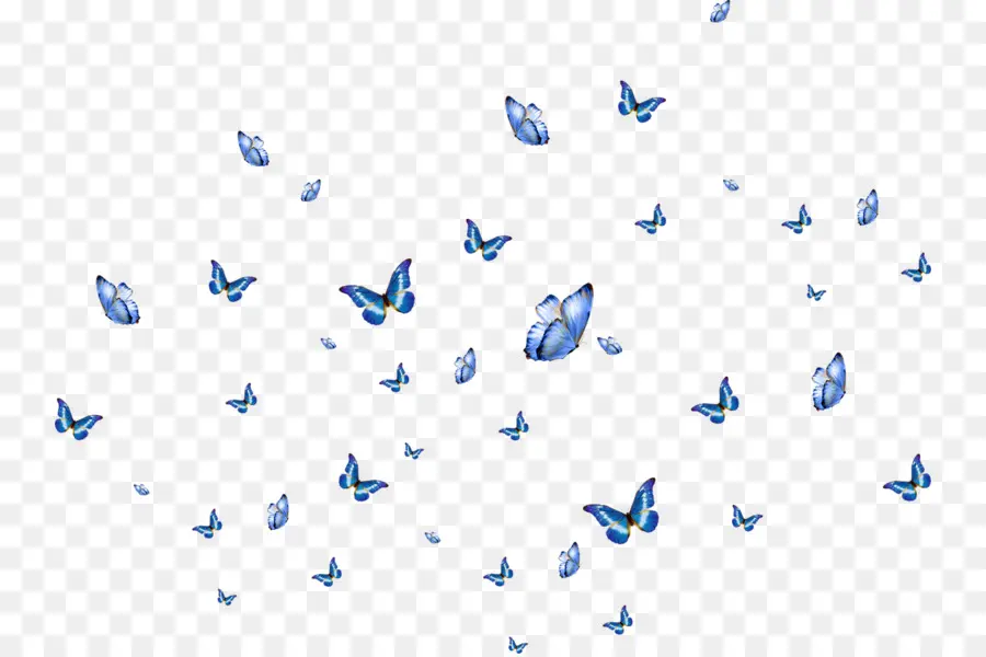 Papillons Bleus，Vol PNG