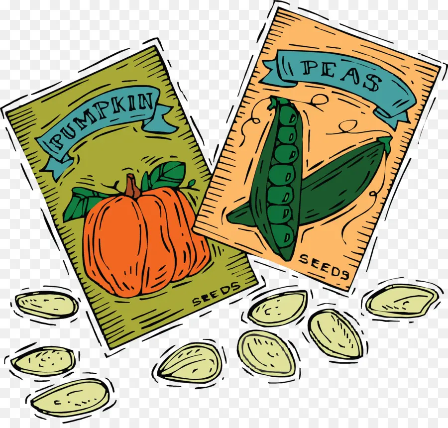 Sachets De Graines De Citrouille Et De Pois，Jardinage PNG