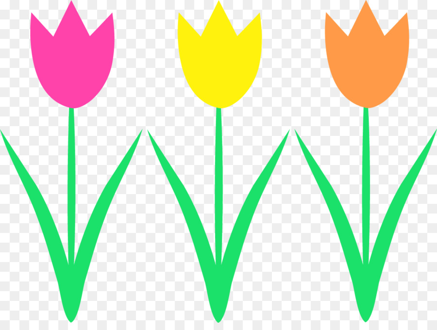 Tulipes Colorées，Printemps PNG