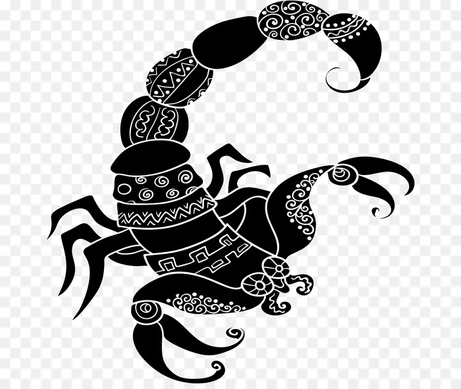 Scorpion，Noir PNG