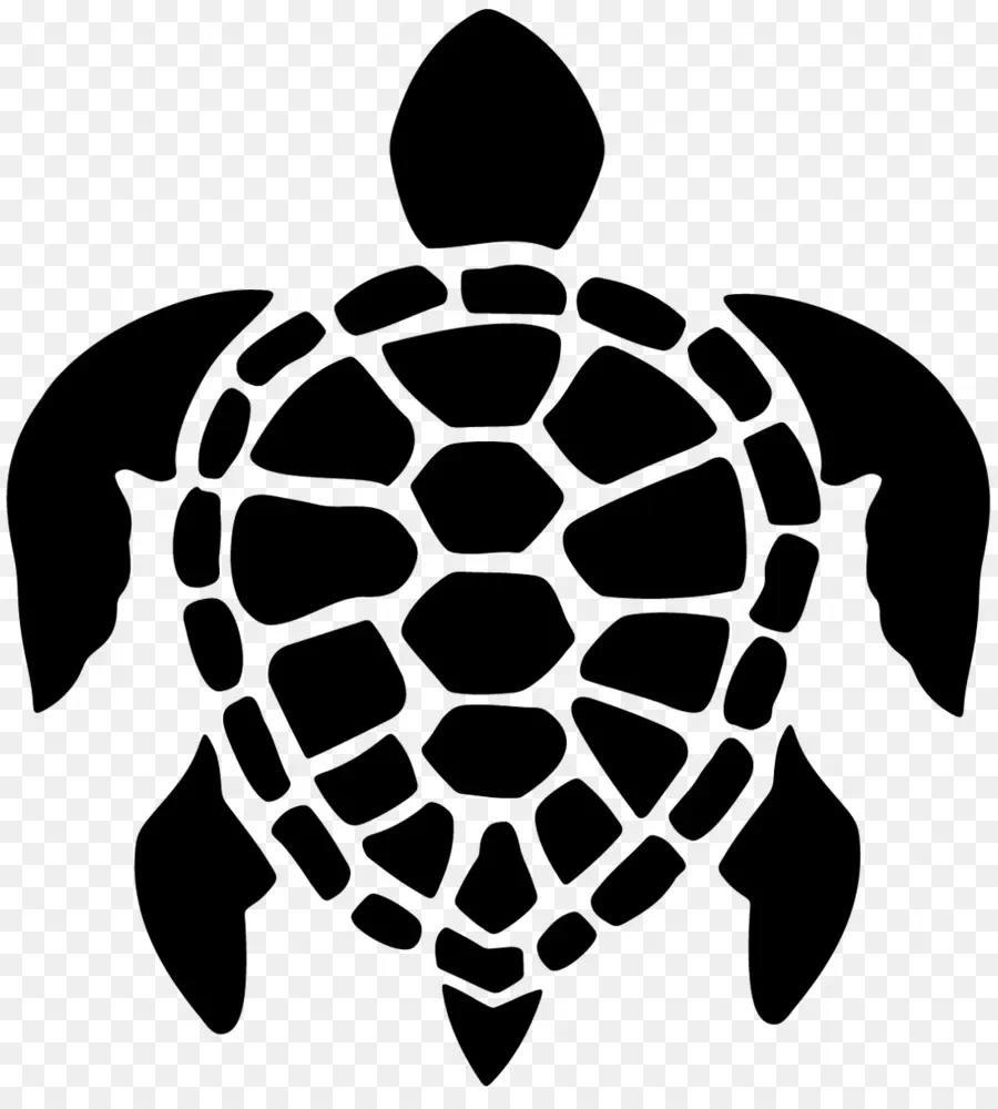 Tortue，Coquille PNG