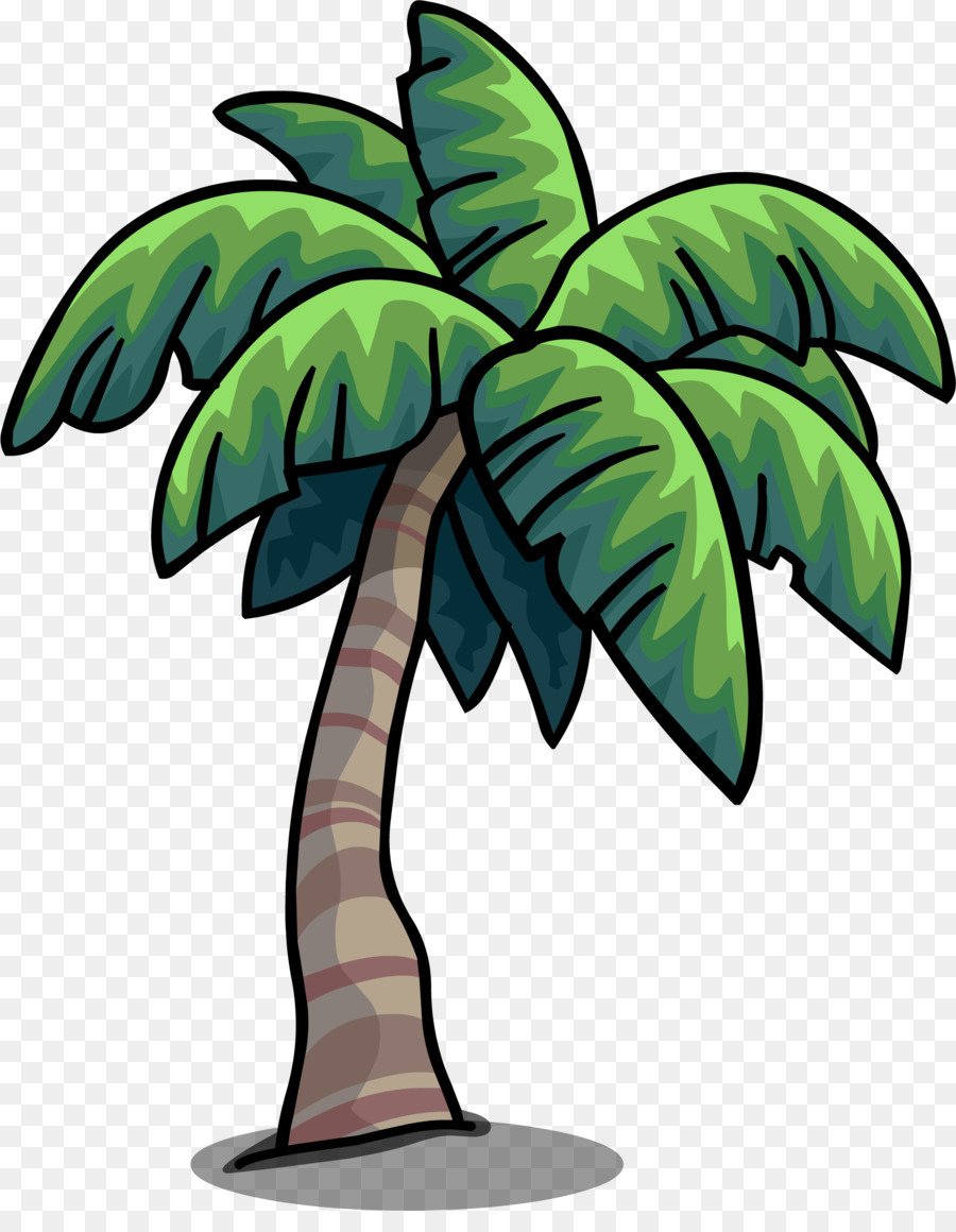 Arecaceae，Arbre PNG