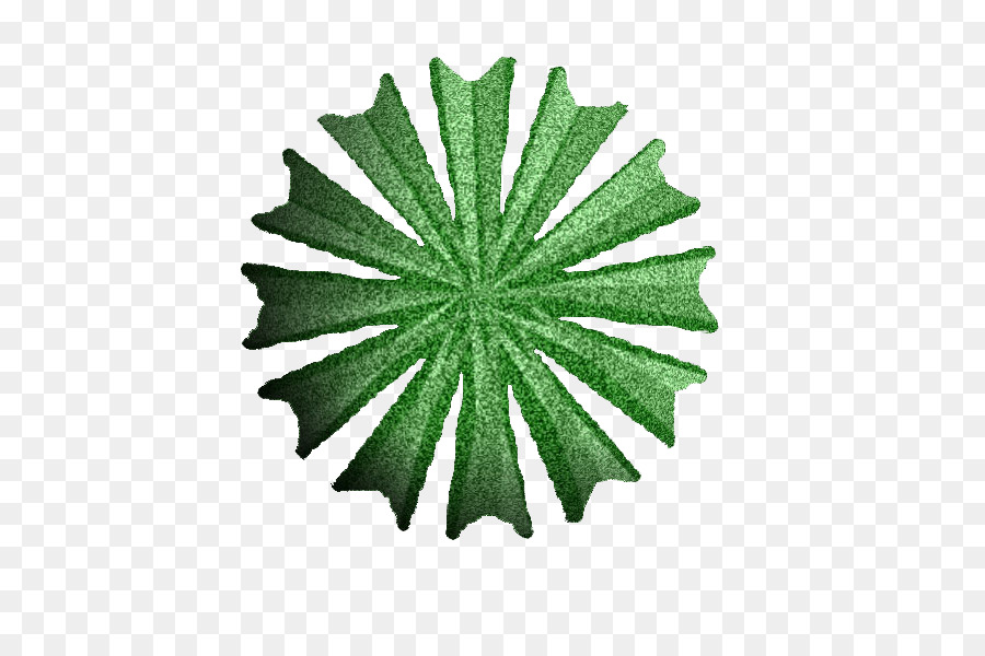 Étoile Verte，Conception PNG