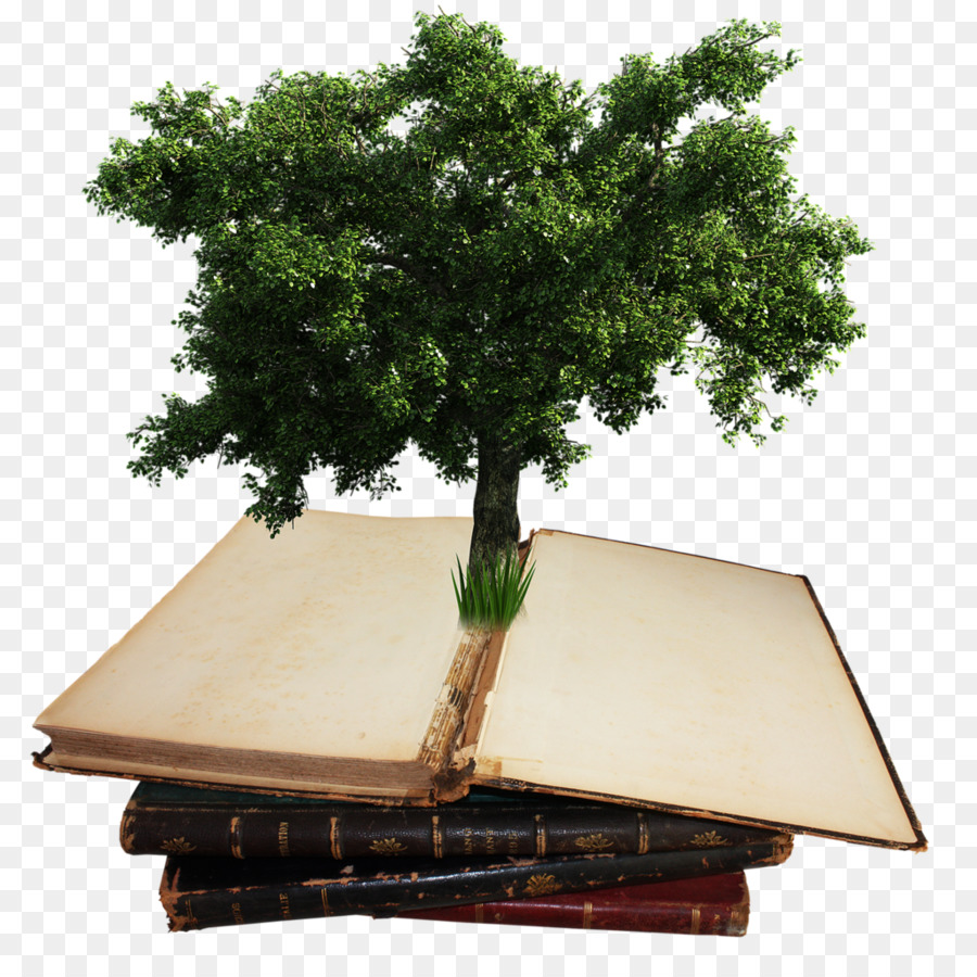 Arbre，Arbuste PNG