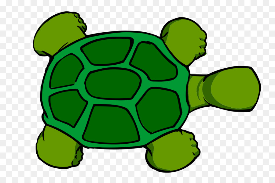 Tortue Mignonne，Reptile PNG