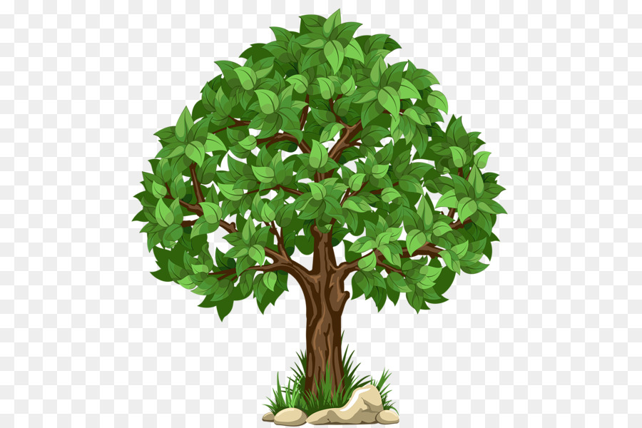 Arbre，Feuilles PNG