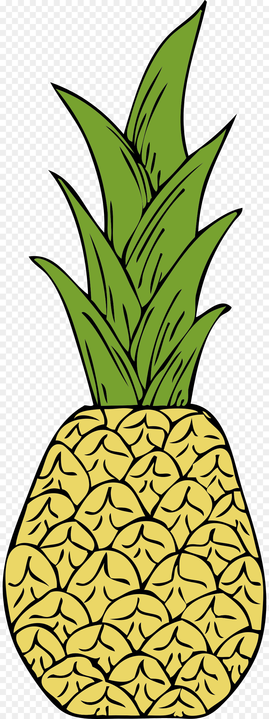 Ananas，Tropical PNG