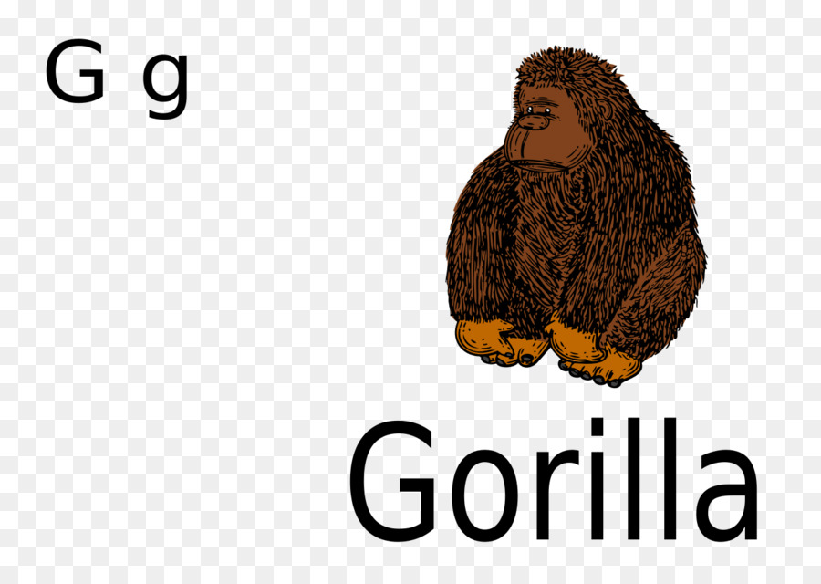 Des Gorilles Occidentaux，Singe PNG