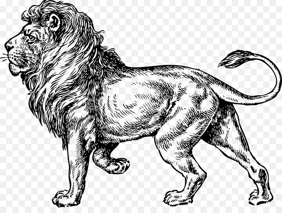 Lion Mythique，Créature PNG