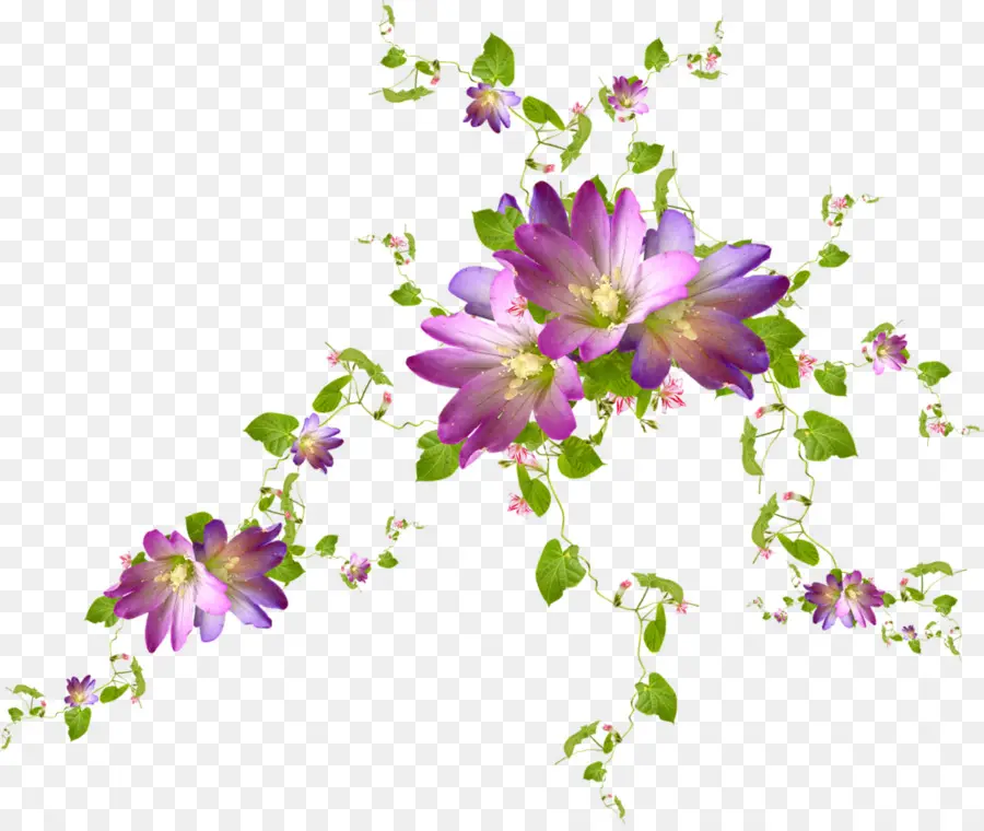 Fleurs，Violet PNG