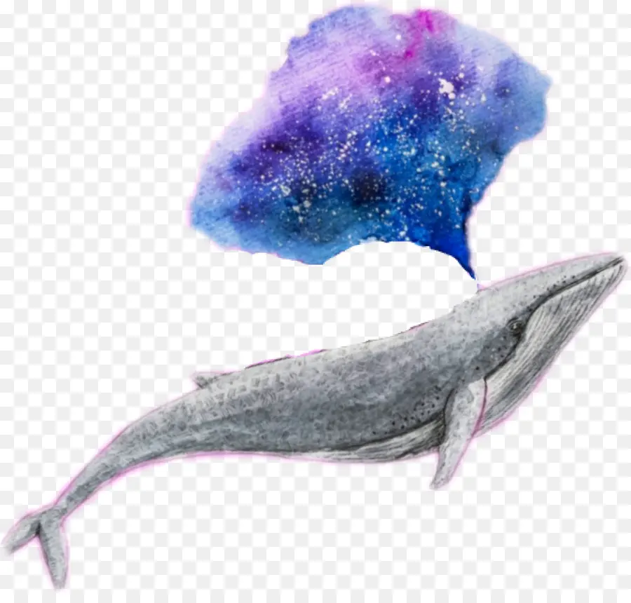 Baleine，Aquarelle PNG