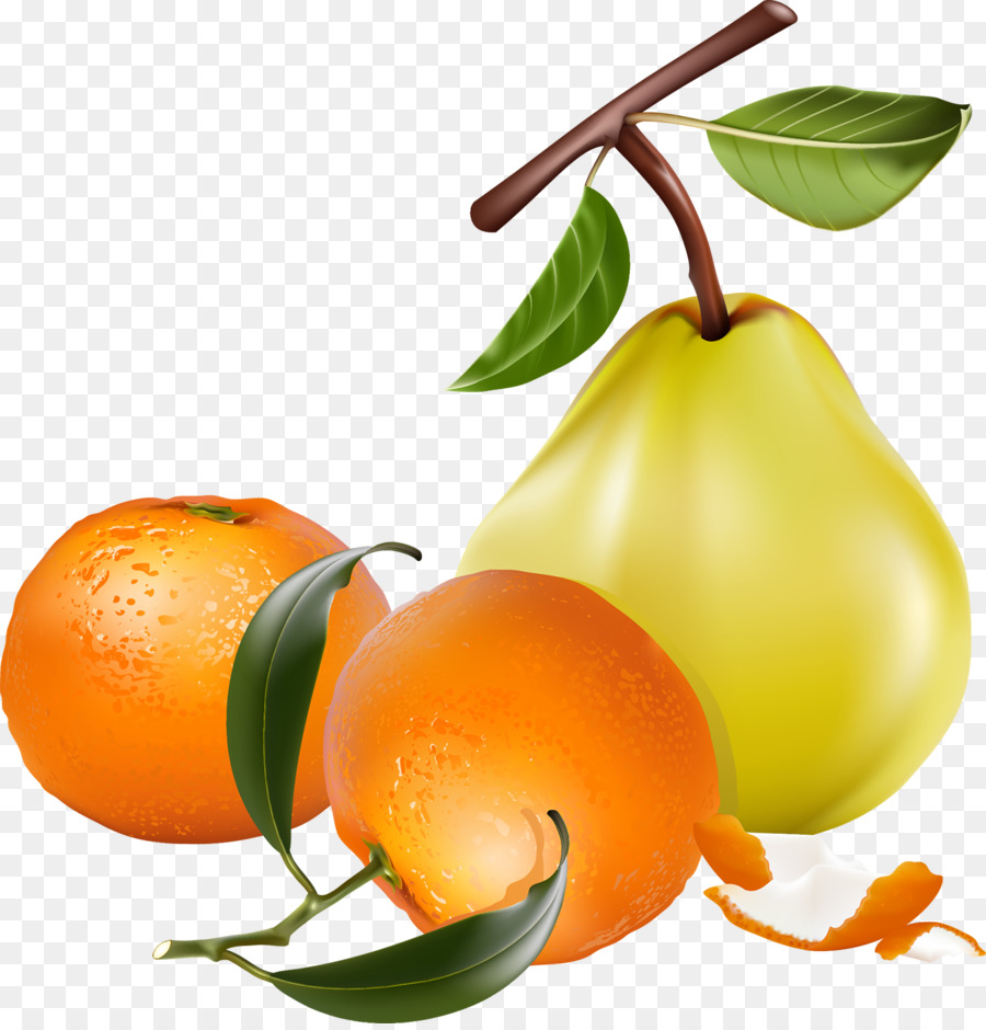 Oranges，Agrumes PNG