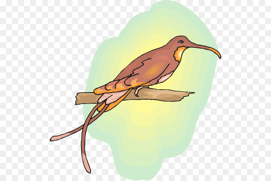 Oiseau，Dessin PNG