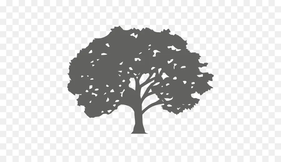 Arbre，Feuilles PNG