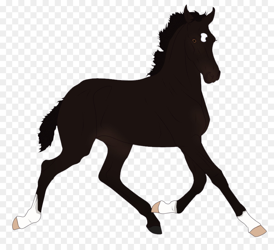 Cheval，équidé PNG