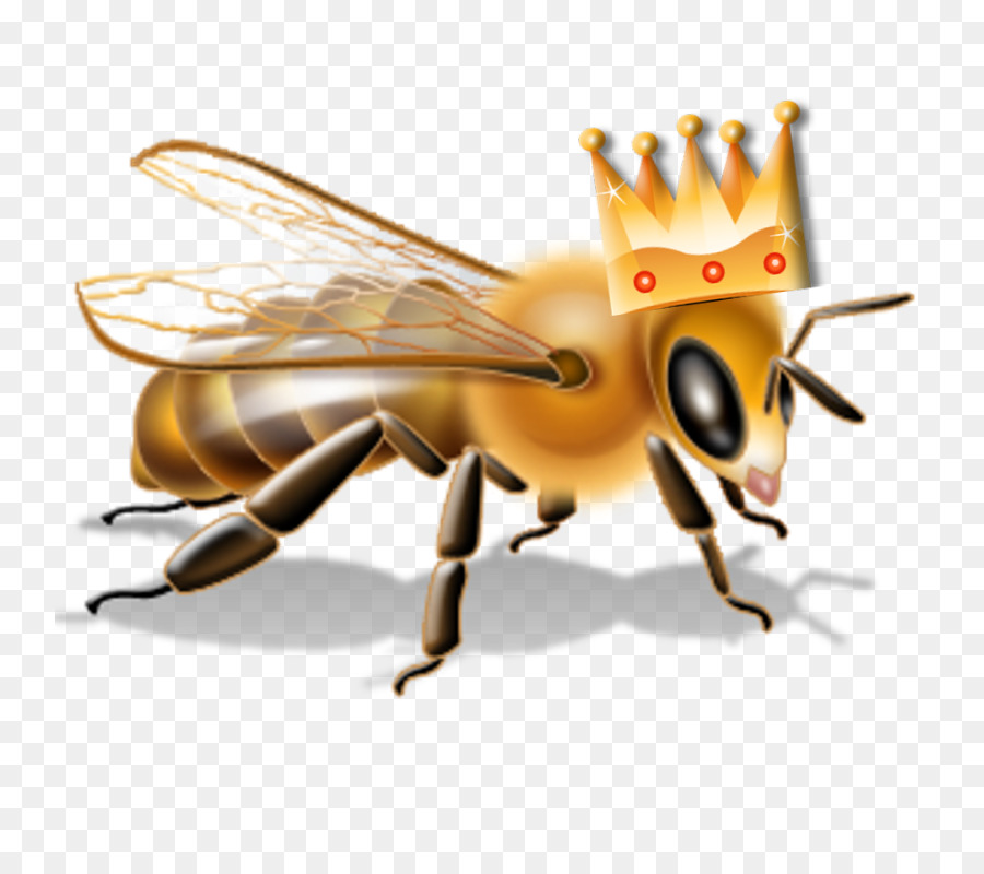 Abeille，Insecticide PNG