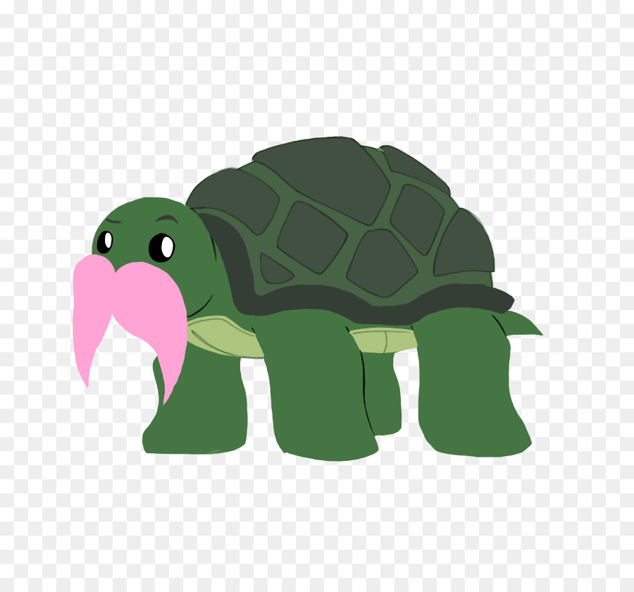 Tortue Verte，Coquille PNG