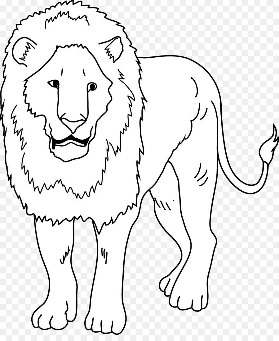 Lion，Noir Et Blanc PNG