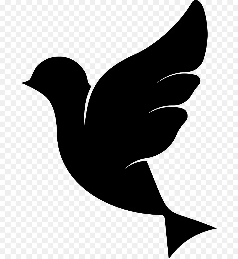 Oiseau，Noir Et Blanc PNG