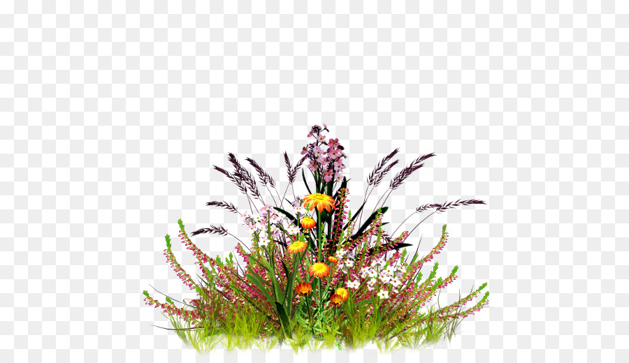 Fleurs，Fleurs Sauvages PNG