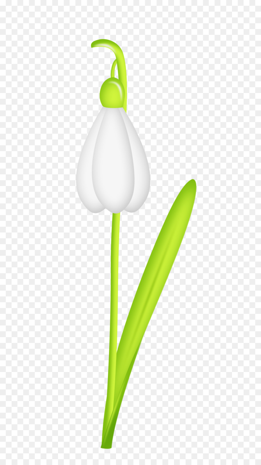 Fleur，Tige De La Plante PNG