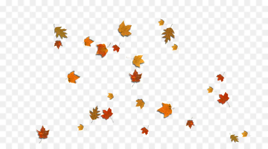 Feuilles D'automne，Automne PNG