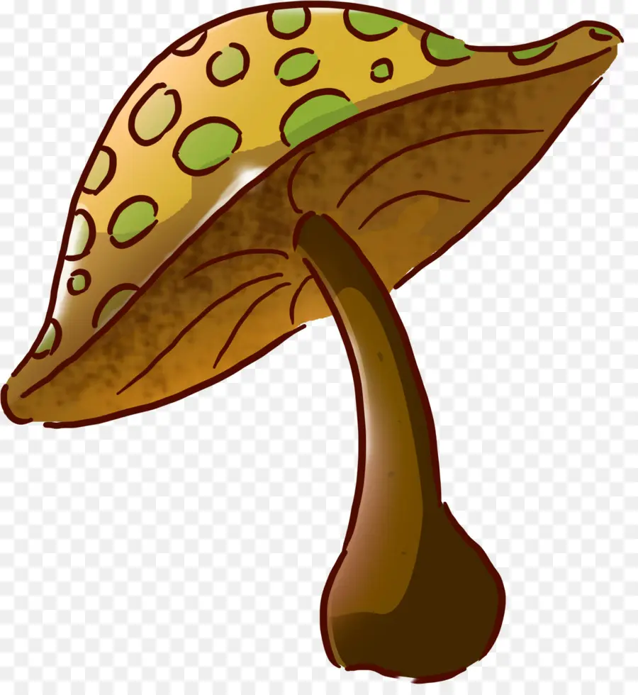 Champignon，Nature PNG