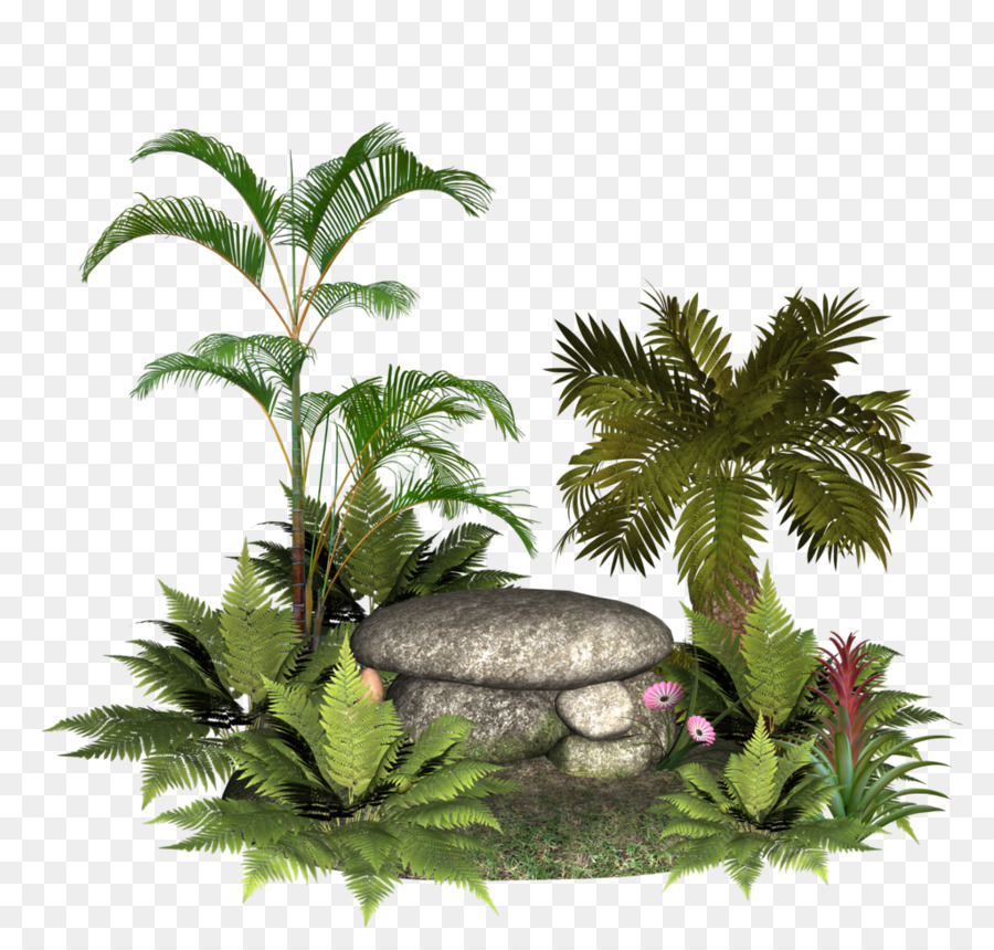 Jardin De Rocaille，Plantes PNG