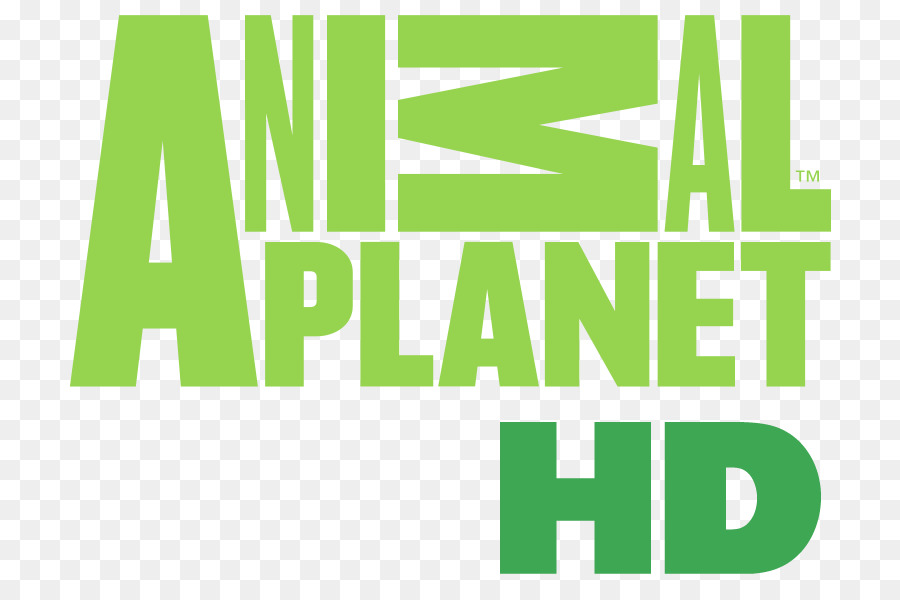 La Télévision Haute Définition，Planète Animale PNG
