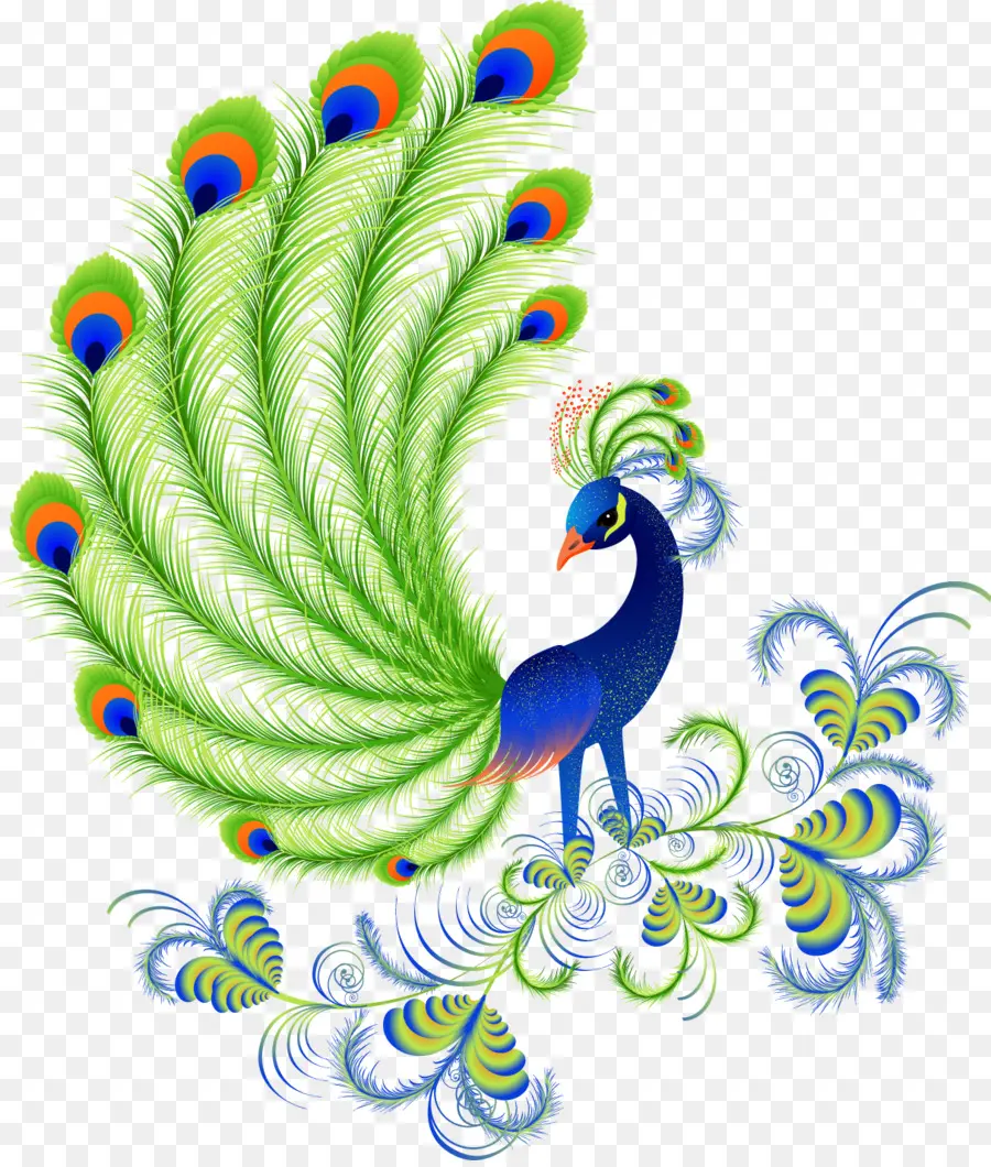 Paon，Plumes PNG