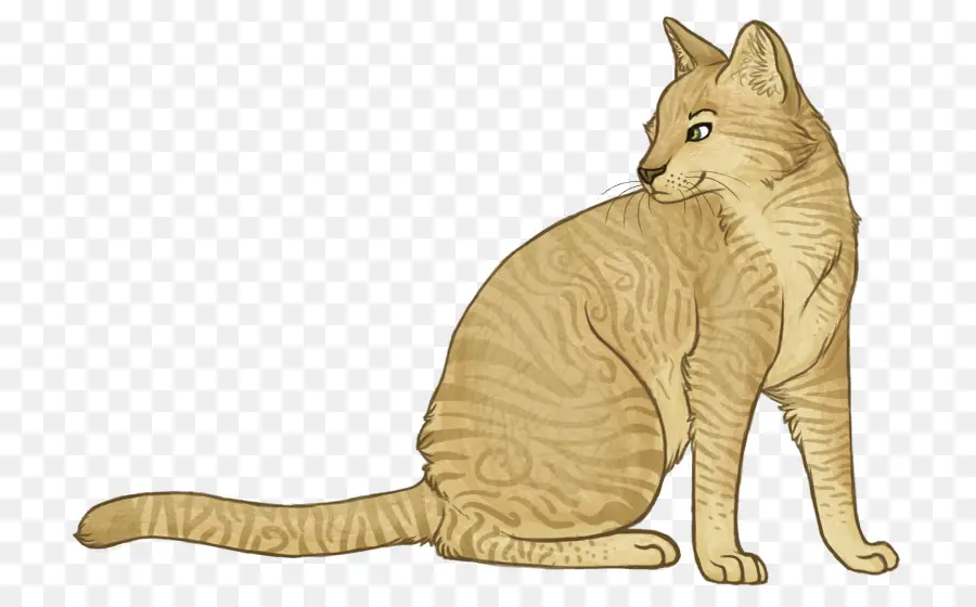 Chat Assis，Félin PNG