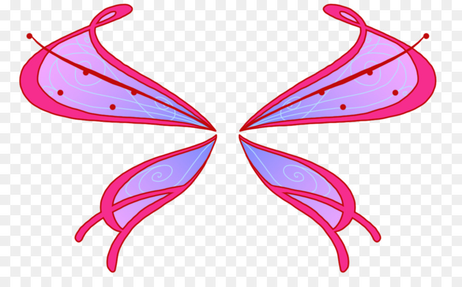 Ailes De Papillon，Coloré PNG