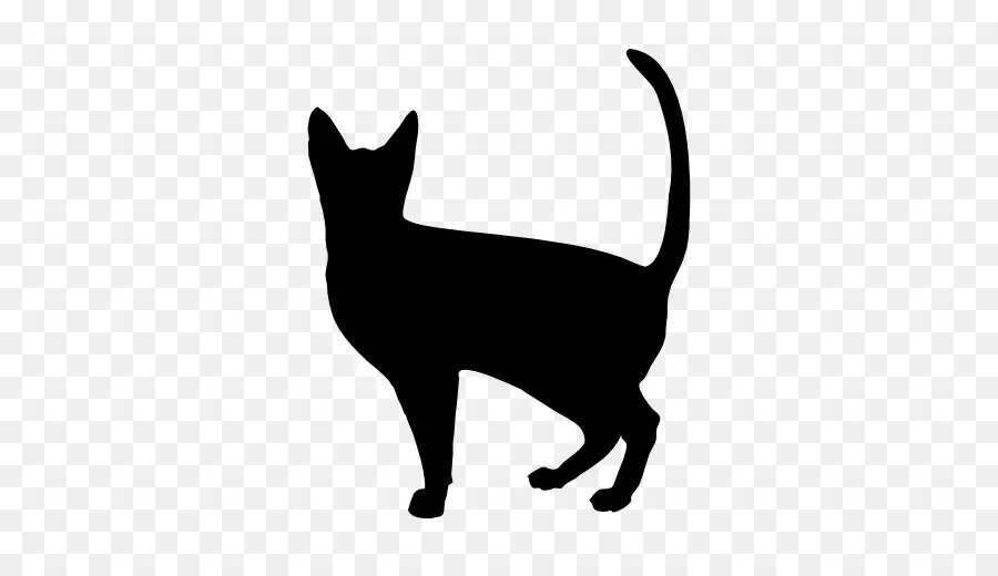 Silhouette De Chat，Animal De Compagnie PNG