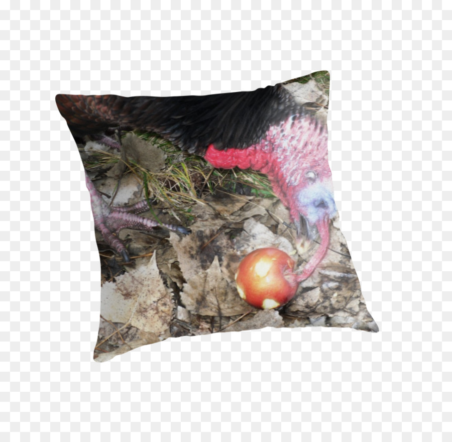 Les Coussins，Coussin PNG