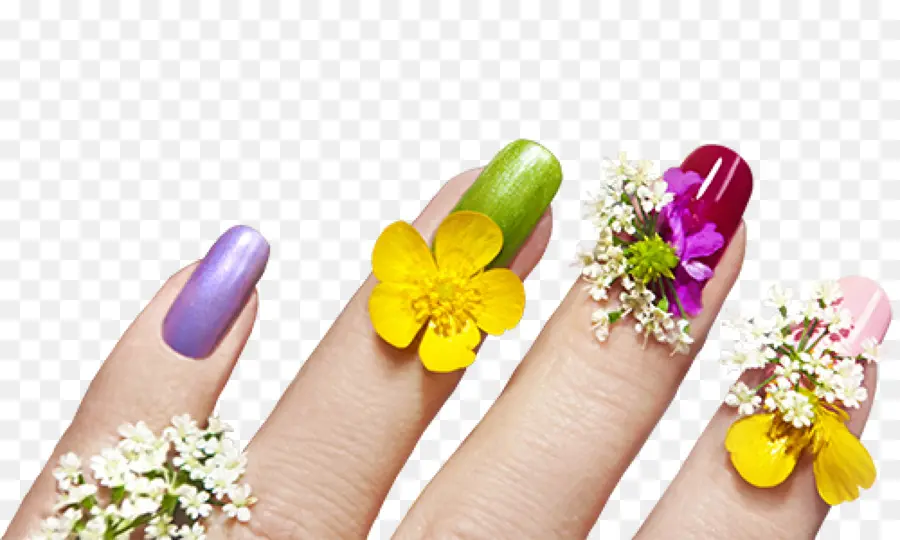 Ongles De Fleurs，Fleur PNG