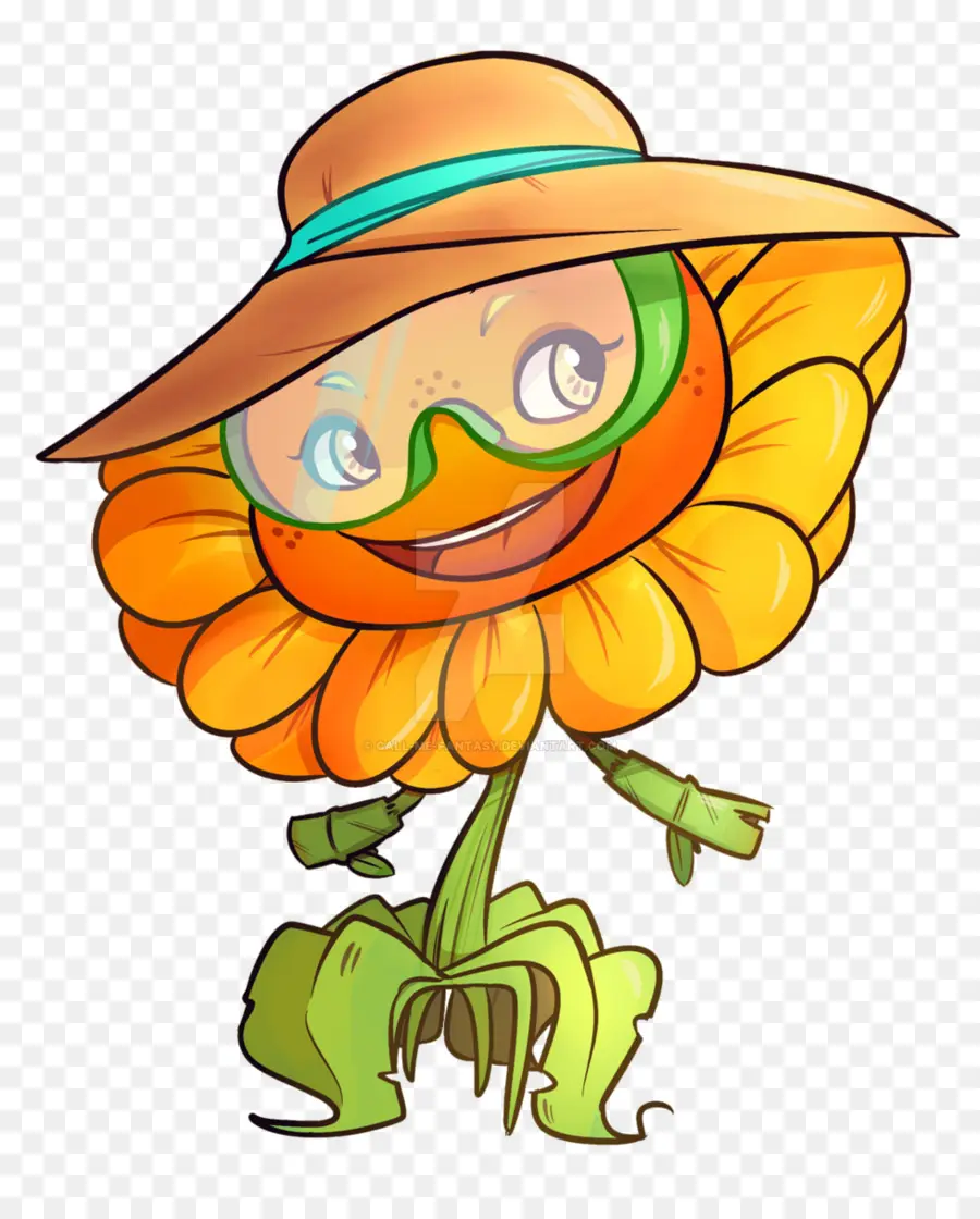 Fleur De Dessin Animé Avec Chapeau，Fleur PNG