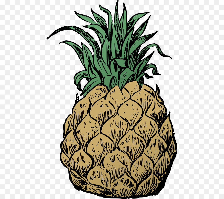 Ananas，Nourriture PNG